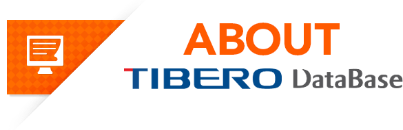 About TIBERO DataBase