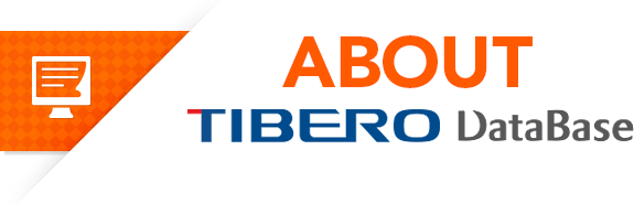 Tibero DataBase는 최상의 가치를 제공합니다.