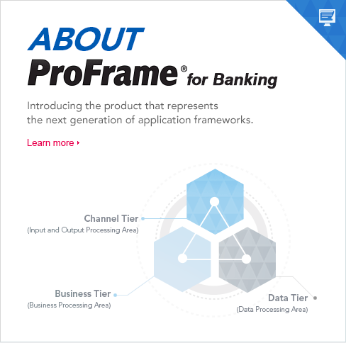 Introducing the product that represents 
the next generation of application frameworks. 