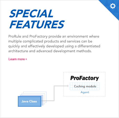 ProRule and ProFactory provide an environment where multiple complicated products and services can be quickly and effectively developed using a differentiated 
architecture and advanced development methods.
