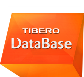 Tibero is an innovative database management system (DBMS*) that delivers optimal business value. It efficiently manages resources to achieve optimum performance.*DBMS (Database Management System): System software developed for operating and managing databases.?